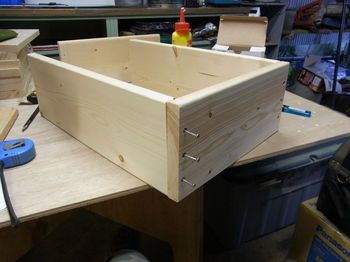 RIMG11609_800.jpg
