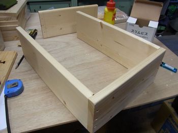 RIMG11610_800.jpg