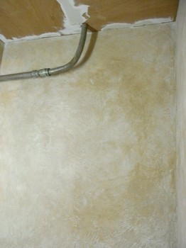 RIMG1297_800.jpg