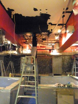 RIMG1371_800.jpg