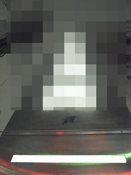 RIMG1490_800.jpg